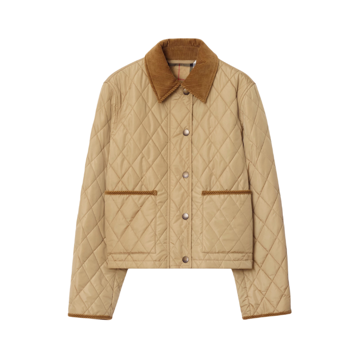 VESTE COURTE
